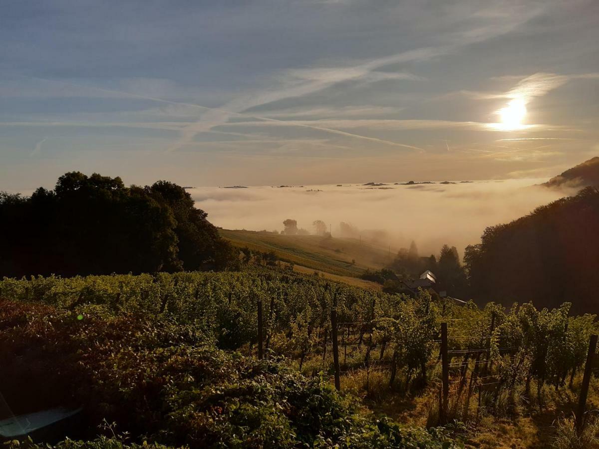 Sunrise Home Maribor Eksteriør billede